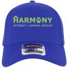 OTTO CAP® OTTO FLEX® Fitted 6 Panel Low Profile Baseball Cap Thumbnail