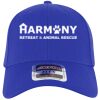 OTTO CAP® OTTO FLEX® Fitted 6 Panel Low Profile Baseball Cap Thumbnail
